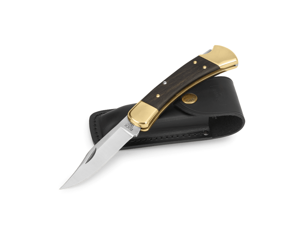 Folding Hunter Buck Knife